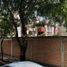 Condominium à vendre à Coyoacan, Mexico City, Coyoacan
