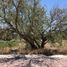  Terreno (Parcela) en venta en Huimilpan, Querétaro, Huimilpan
