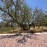  Terreno (Parcela) en venta en Huimilpan, Querétaro, Huimilpan