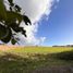 Terreno (Parcela) en venta en Chile, Puerto Varas, Llanquihue, Los Lagos, Chile