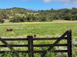  Land for sale in Chile, Santo Domingo, San Antonio, Valparaiso, Chile