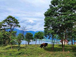  Terreno (Parcela) en venta en San Martín, Sauce, San Martín, San Martín