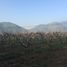  Land for sale in Chacabuco, Santiago, Lampa, Chacabuco