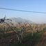  Land for sale in Chacabuco, Santiago, Lampa, Chacabuco