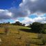  Terreno (Parcela) en venta en Navidad, Cardenal Caro, Navidad