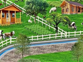  Land for sale in Cebu City, Central Visayas, Cebu City, Cebu