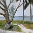 在Tuxpan, Veracruz出租的3 卧室 屋, Tuxpan