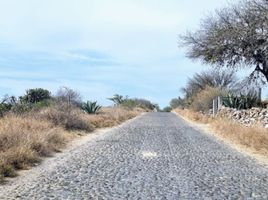 Terreno (Parcela) en venta en Tecozautla, Hidalgo, Tecozautla