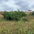  Land for sale in Portoviejo, Manabi, Portoviejo, Portoviejo