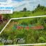  Terrain for sale in Leyte, Eastern Visayas, Ormoc City, Leyte