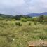  Land for sale in Piedecuesta, Santander, Piedecuesta