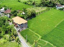  Grundstück zu verkaufen in Gianyar, Bali, Ginyar