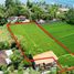  Land for sale in Gianyar, Bali, Ginyar, Gianyar