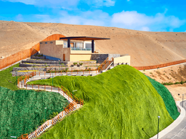  Terreno (Parcela) en venta en Asia, Lima, Asia