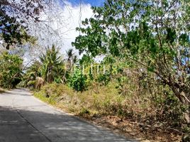  Grundstück zu verkaufen in Negros Oriental, Negros Island Region, Dauin