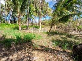  Terrain for sale in Negros Oriental, Negros Island Region, Dauin, Negros Oriental