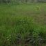  Land for sale in Cebu Central Visayas, Alcantara