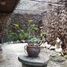  Terreno (Parcela) en venta en Quezon City, Metro Manila, Quezon City, Eastern District, Metro Manila