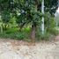  Land for sale in Huejutla De Reyes, Hidalgo, Huejutla De Reyes