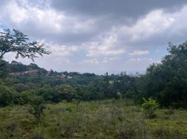 Terrain à vendre à Morelia, Michoacan, Morelia