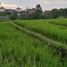  Grundstück zu verkaufen in Badung, Bali, Kuta, Badung