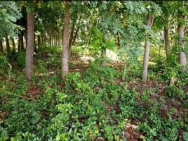  Terreno (Parcela) en venta en Lapu-Lapu City, Central Visayas, Lapu-Lapu City, Cebu