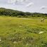  Land for sale in Sibonga, Central Visayas, Sibonga
