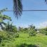  Land for sale in Talisay City, Cebu, Talisay City