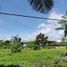  Land for sale in Talisay City, Cebu, Talisay City