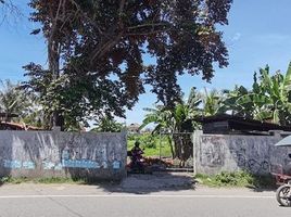  Land for sale in Talisay City, Cebu, Talisay City