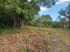  Land for sale in El Espino, San Carlos, El Espino