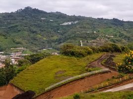  Terreno (Parcela) en venta en Tulua, Valle Del Cauca, Tulua