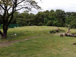  Land for sale in Lumban, Laguna, Lumban