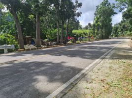 Terreno (Parcela) en venta en Cebu City, Central Visayas, Cebu City