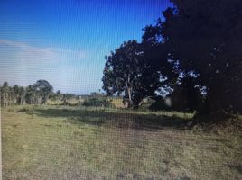  Land for sale in Cagayan Valley, Lal-Lo, Cagayan, Cagayan Valley