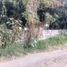 Terrain à vendre à Tarimbaro, Michoacan, Tarimbaro