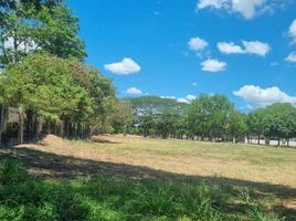  Grundstück zu verkaufen in Carmona, Calabarzon, Carmona