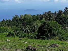  Grundstück zu verkaufen in Negros Oriental, Negros Island Region, Dauin