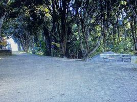  Land for sale in San Miguel, Bulacan, San Miguel