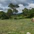  Land for sale in La Mesa, Cundinamarca, La Mesa