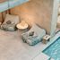 4 Schlafzimmer Haus zu verkaufen in Cozumel, Quintana Roo, Cozumel, Quintana Roo, Mexiko