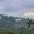 Terrain à vendre à Balamban, Central Visayas, Balamban