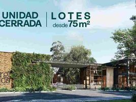 Land for sale in La Ceja, Antioquia, La Ceja, Antioquia