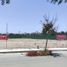  Grundstück zu verkaufen in Castilla, Piura, Castilla, Piura, Piura
