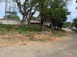  Terreno (Parcela) en venta en Davao City, Davao, Davao City, Davao del Sur, Davao, Filipinas