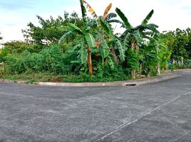  Land for sale in Crimson Beach side, Lapu-Lapu City, Lapu-Lapu City