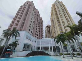 1 Bedroom Condo for rent in Central Visayas, Lapu-Lapu City, Cebu, Central Visayas