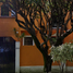 4 Schlafzimmer Villa zu verkaufen in Miguel Hidalgo, Mexico City, Miguel Hidalgo