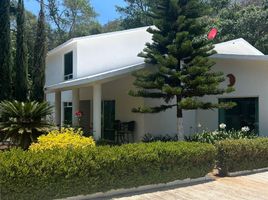 3 Habitación Casa en venta en Morelia, Michoacán, Morelia, Michoacán