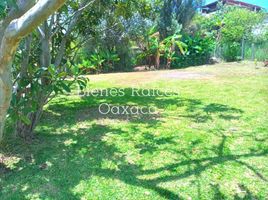  Land for sale in Del Centro, Oaxaca, Del Centro